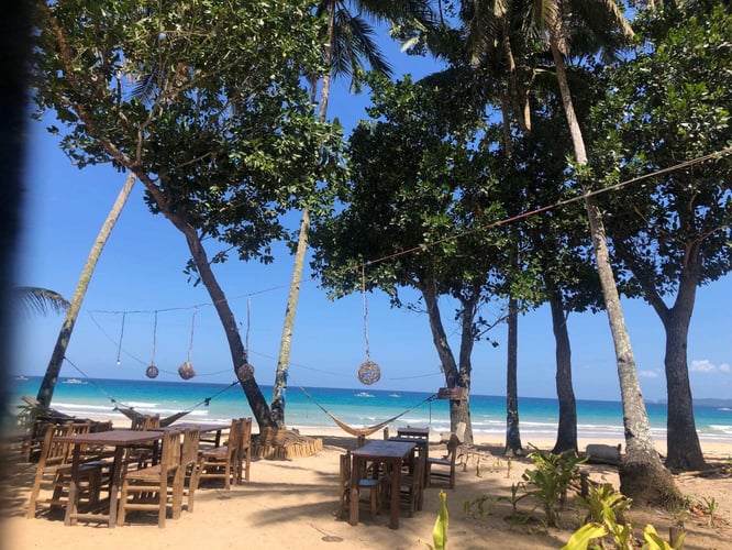 It's the Freelance Dream: Working from the Beach image